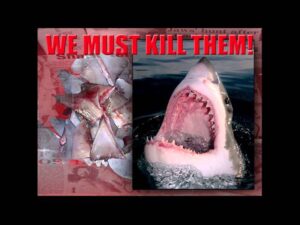 Richard Jaronek Žralok – právo zabíjať a prežiť